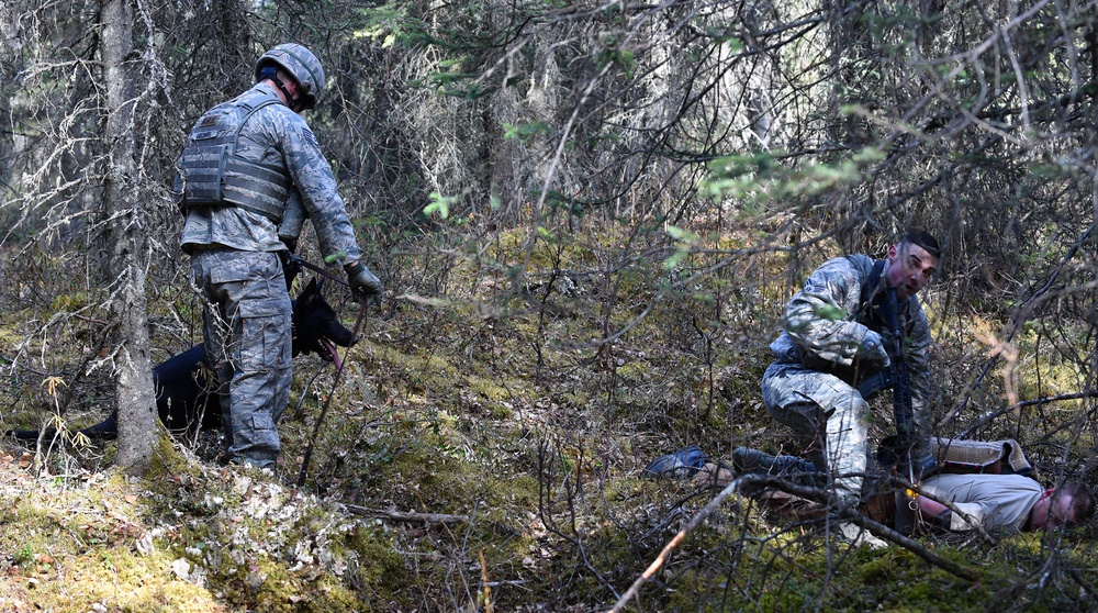 JBER Security Forces force-on-force training