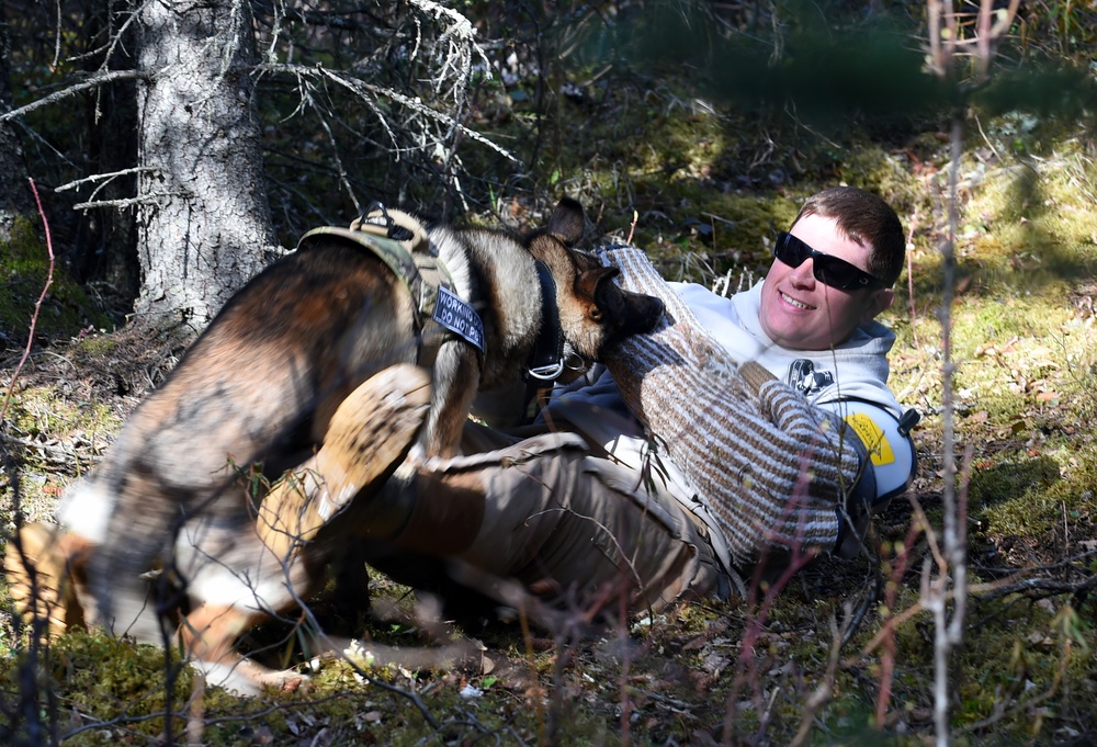 JBER Security Forces force-on-force training