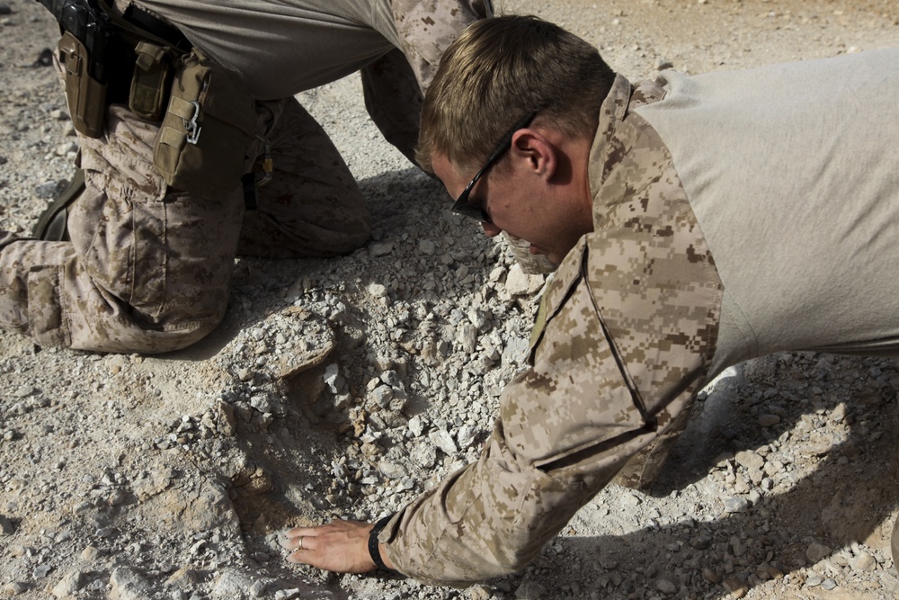 U.S. Marine EOD conducts Explosives Clearing at Al Asad, Iraq