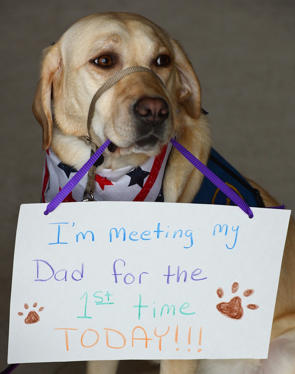 388 &amp; 419 Fighter Wings homecoming