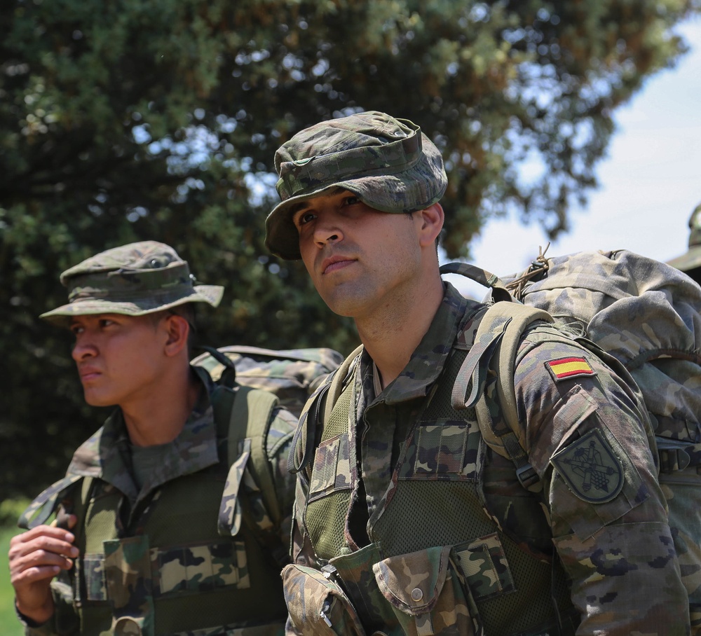 Operation Skyfall - España