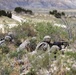 Raider brigade hones battlefield skills in combined arms exercise