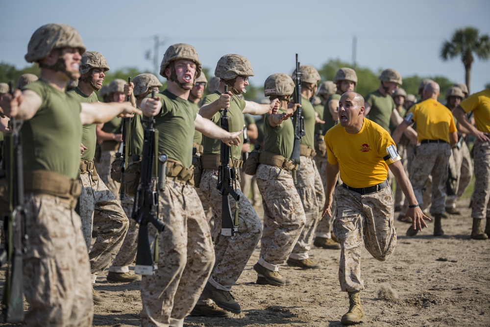 DVIDS - Images - Marine recruits build martial arts skills on Parris ...