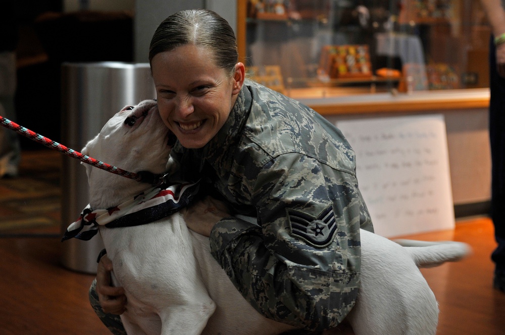 Staff sergeant reunites with rescued dog post-deployment