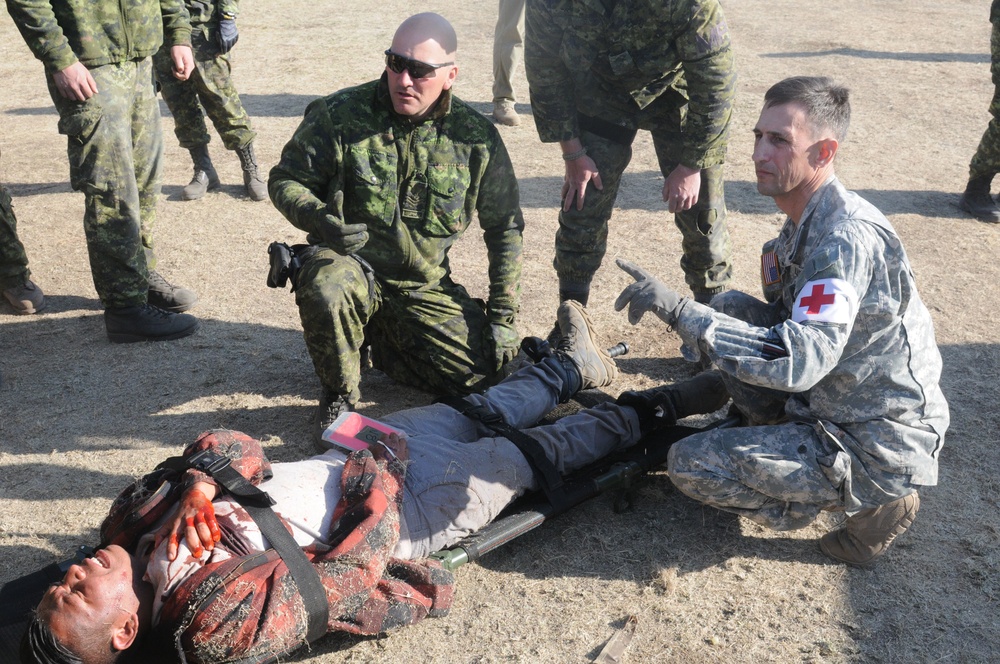 162nd Area Support Medical Company supports Canadian army in Mass Casualty Drill