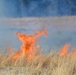 Controlled burns