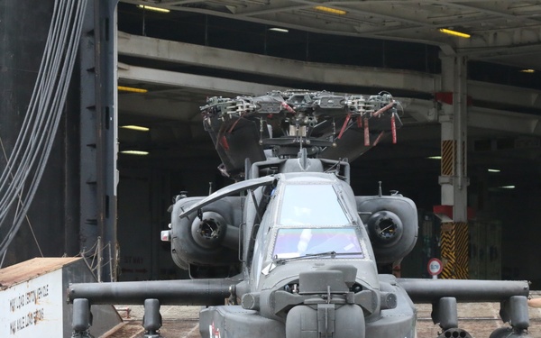 TF Pegasus aircraft homecoming