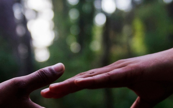 Two hands reach toward each other against a blurred forest background, nearly touching but not quite making contact. The image evokes themes of connection, reaching out, or separation. The shallow depth of field keeps focus on the hands while the wooded environment remains softly bokeh'd in the background.