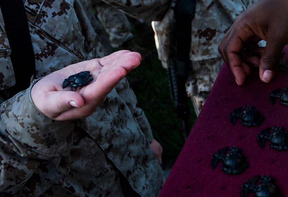 Military Photographer of the Year Second Runner Up: Staff Sgt. Jodi Martinez