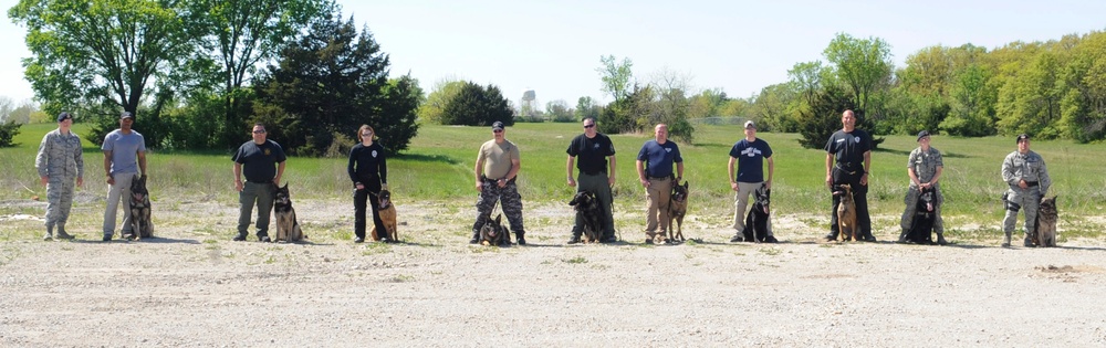 Canine counterpart-MWD