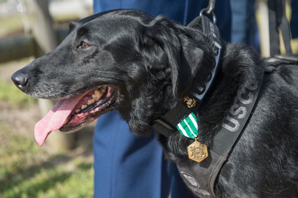 Coast Guard K9 explosive detection dog retires