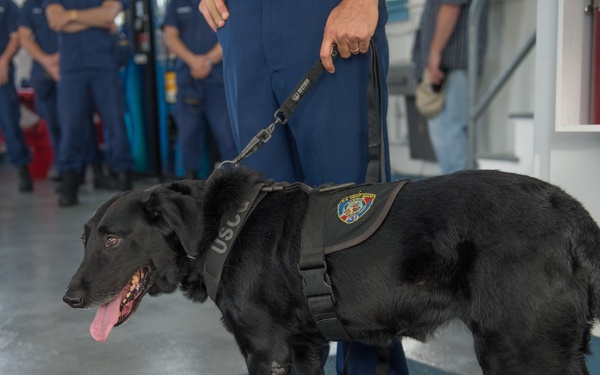 Coast Guard K9 explosive detection dog retires