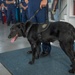 Coast Guard K9 explosive detection dog retires