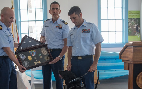 Coast Guard K9 explosive detection dog retires
