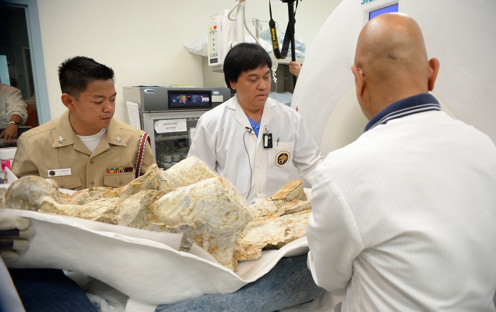 500,000 year-old mammoth skull fragment examined at NMCSD