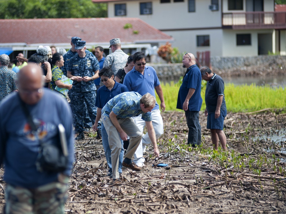 Fishpond Restoration Pearl Harbor