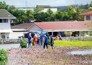 Fishpond Restoration Pearl Harbor