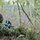 Exercise Maple Resolve 2015