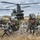 Exercise Maple Resolve 2015