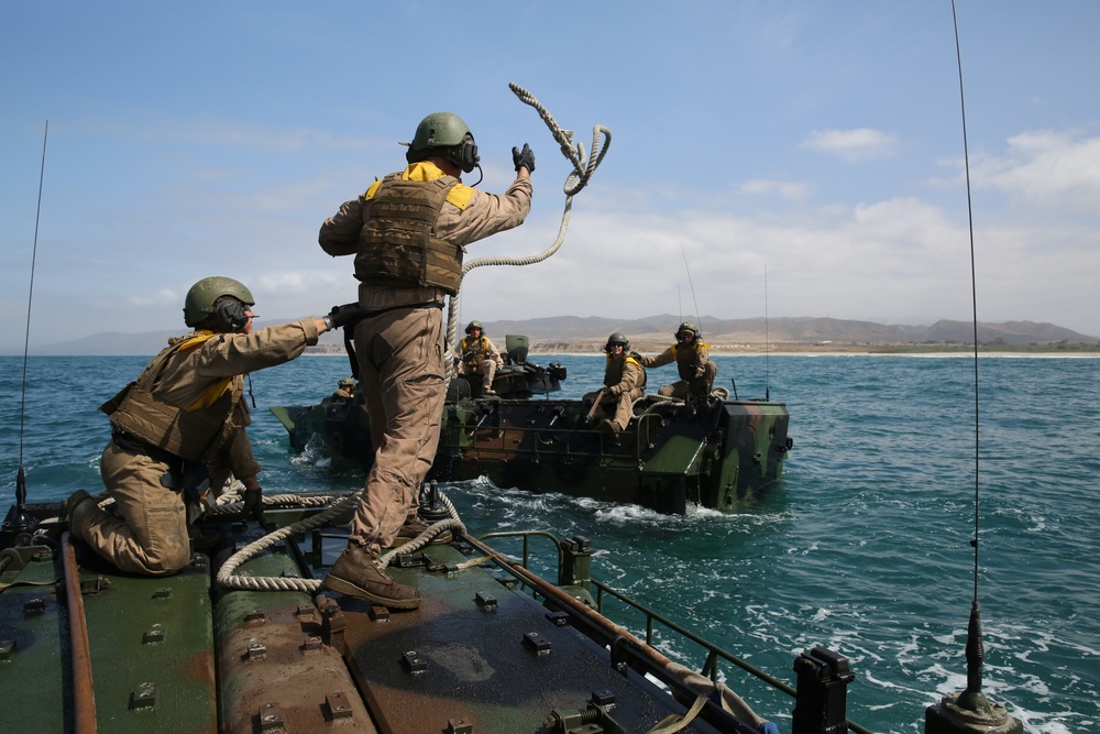 Dvids Images Integrated Task Force Aav Platoon Starts Waterborne Mcotea Assessment [image 13