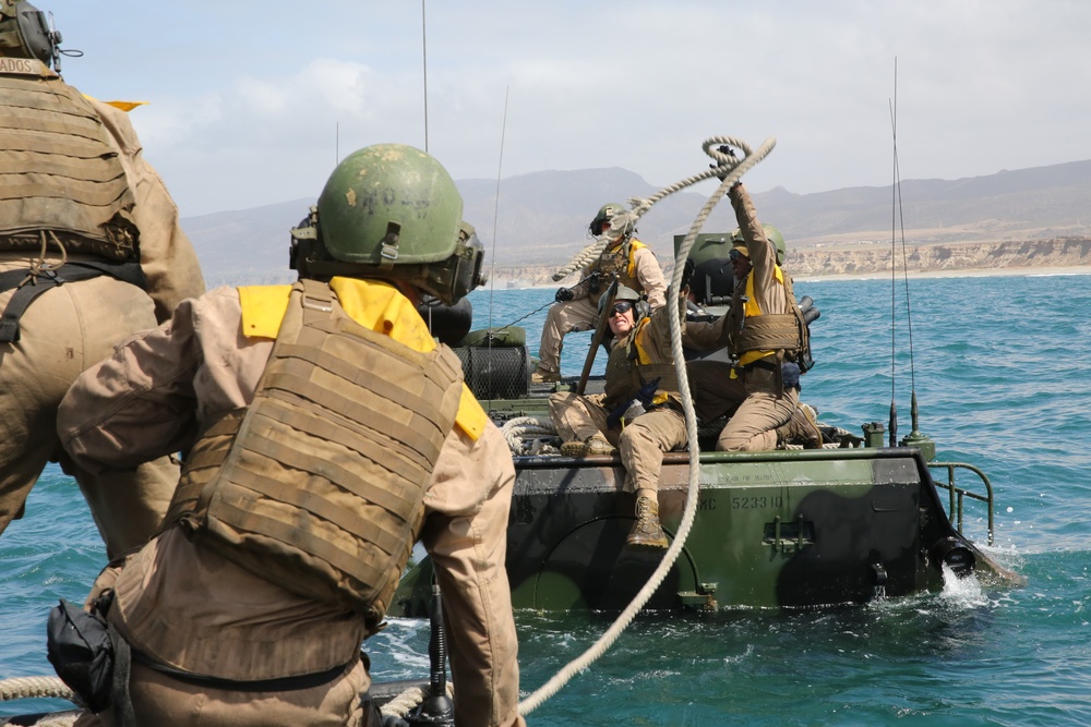 Integrated Task Force AAV Platoon starts waterborne MCOTEA assessment