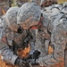 Taking charge: Sapper Company blasts through training