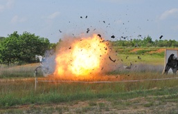 Taking charge: Sapper Company blasts through training