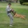 A U.S. Army soldier in ACU (Army Combat Uniform) is conducting a military working dog (MWD) training exercise on a grassy field. The dog, appearing to be a Belgian Malinois, is leaping and biting onto a red and white bite training pad held by the handler. This appears to be a demonstration or routine bite-work training session.