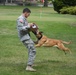 Working dog from Drum works out at Mega Future Soldier Event