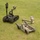 Two unmanned ground vehicles (UGVs) are positioned on a grass field, likely during a demonstration or display event. The robots are tracked vehicles equipped with robotic arms, cameras, and various sensor payloads. One is black and larger, the other is tan/olive-colored and smaller, both appearing to be military or law enforcement EOD-style robots.