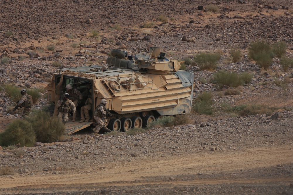 Italian Marines train with 24th MEU AAV's during Exercise Eager Lion 2015