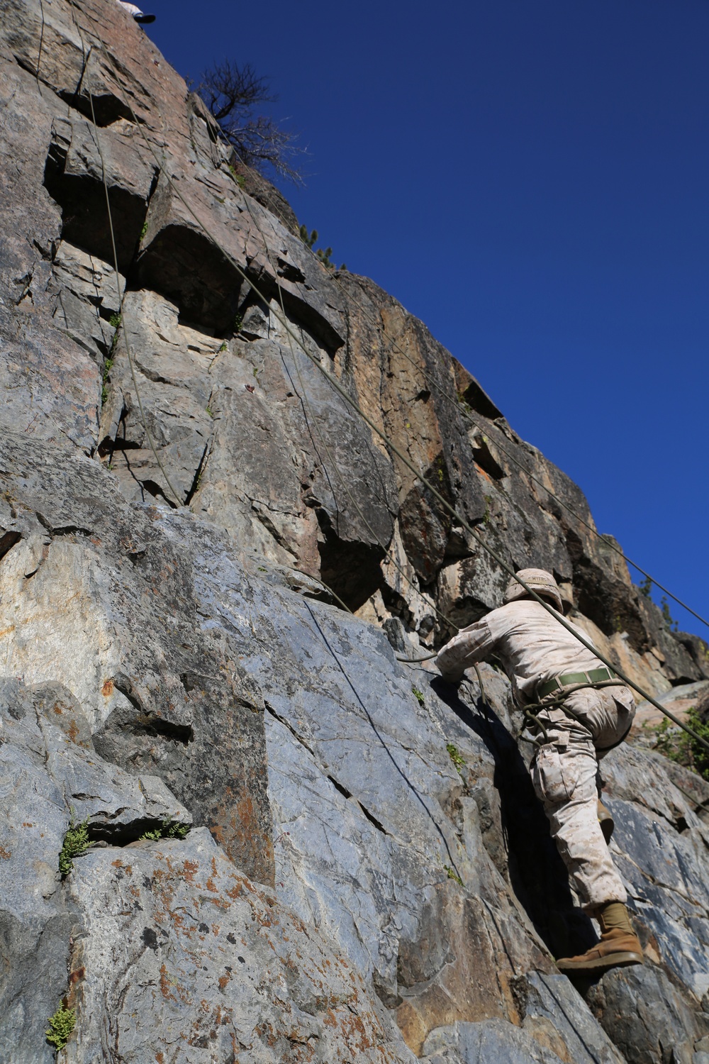 Integrated Task Force Marines conclude MCOTEA assessment aboard Mountain Warfare Training Center, Bridgeport, Calif.