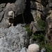 Integrated Task Force Marines conclude MCOTEA assessment aboard Mountain Warfare Training Center, Bridgeport, Calif.