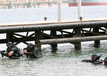 Eager Lion '15 concludes with monumental military demonstration