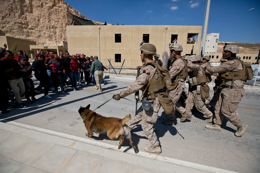 Eager Lion 2015: Non-Combatant Evacuation Operation