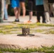 VetsRoll at Arlington National Cemetery