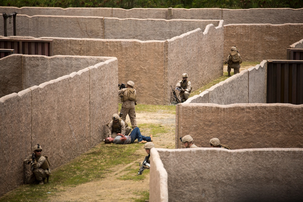 Foreign military officers observe U.S. Marine Corps amphibious landing during PALS 2015