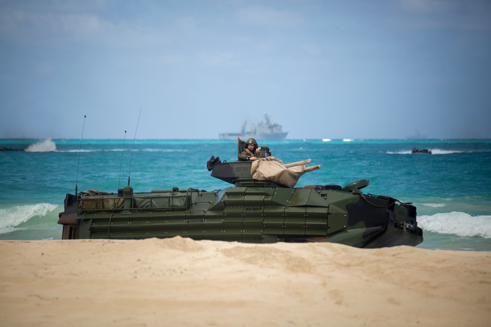 Foreign military officers observe U.S. Marine Corps amphibious landing during PALS 2015