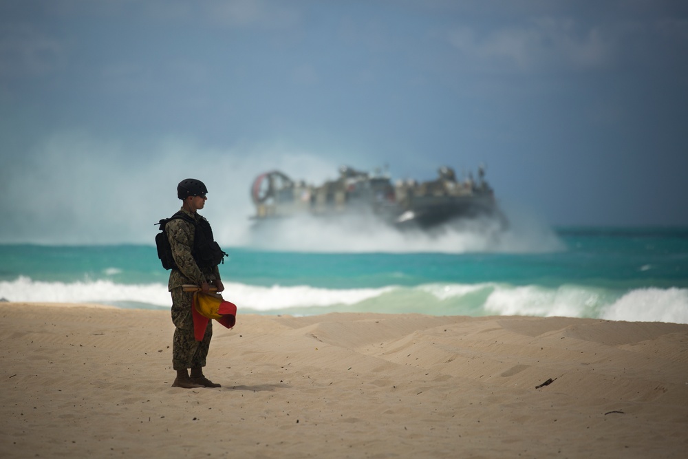 Foreign Military Officers Observe U.S. Marine Corps amphibious landing during PALS 2015