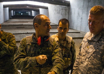 Operation Skyfall - España