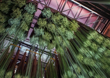 Operation Skyfall - España