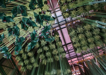 Operation Skyfall - España