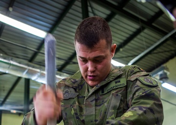 Operation Skyfall - España