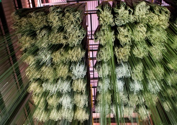 Operation Skyfall - España