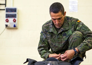 Operation Skyfall - España