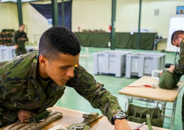 Operation Skyfall - España