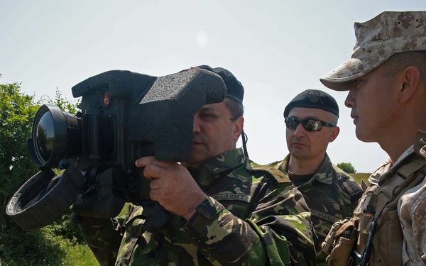 NATO Allies demonstrate defense of Eastern Europe