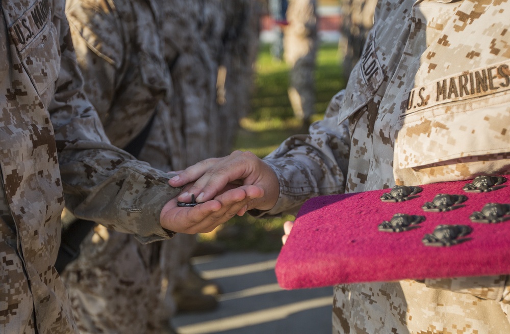 Parris Island recruits complete Crucible, earn title Marine