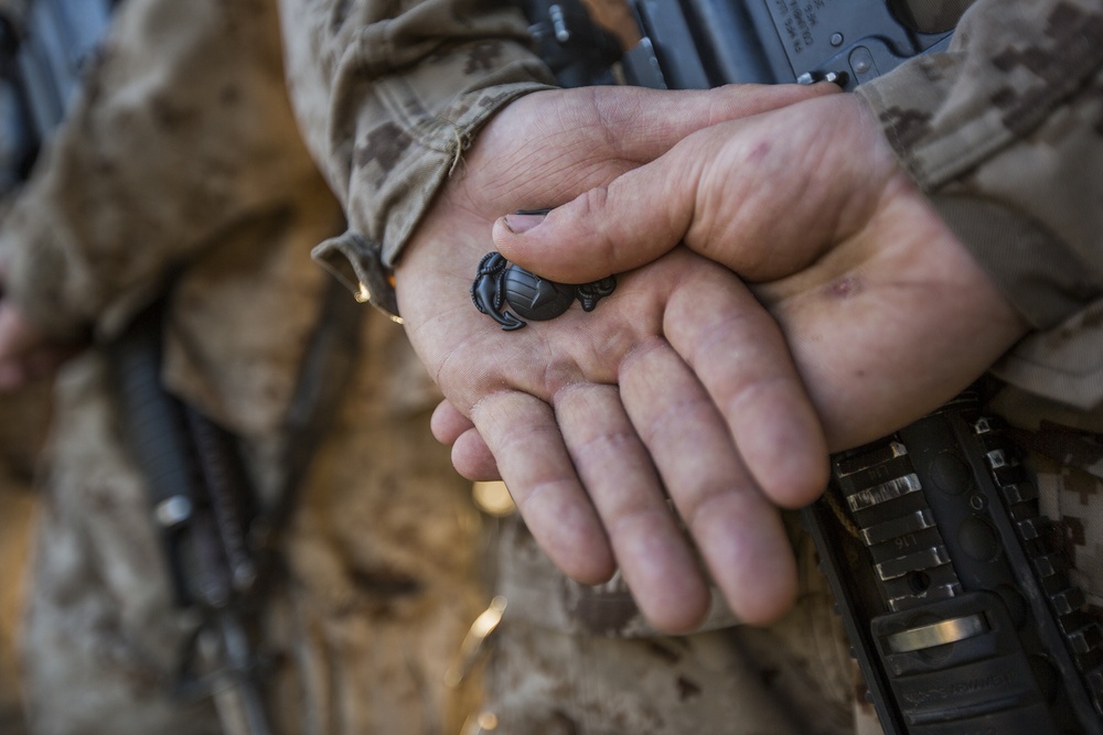 Parris Island recruits complete Crucible, earn title Marine