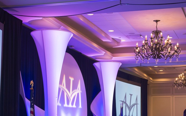 DSD speaks to AIA Executive Committee